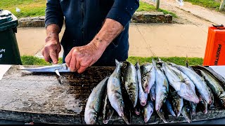 How to Fillet Skin amp Clean King George Whiting [upl. by Alvin522]