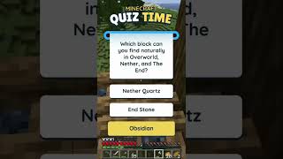 Minecrafts Most Intense Rapid Fire Trivia Game [upl. by Anned]