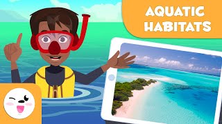 Explore Aquatic Habitats  Types of Habitats for Kids [upl. by Ellezaj57]