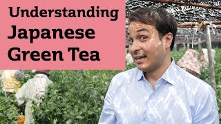 Understanding Japanese Green Tea JAPAN TRIP [upl. by Candice]