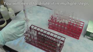 PhenolSulfuric Acid Method for Carbohydrates [upl. by Roy]