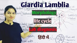 Giardia Lamblia  Morphology  Life Cycle  Lab Diagnosis  Giardiasis in hindi [upl. by Ambur669]