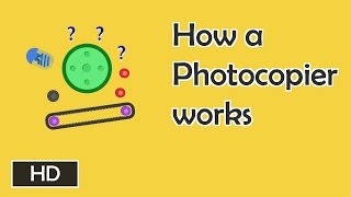 How photocopiers work [upl. by Hatty]