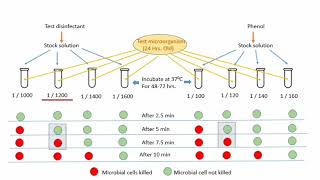 Evaluation of Disinfectants [upl. by Adelaide]