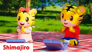 Picnic  Learn with Shimajiro  Kids songs amp Nursery Rhymes [upl. by Tterrab]