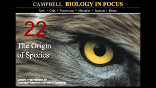 Biology in Focus Chapter 22 The Origin of Species [upl. by Bouley]