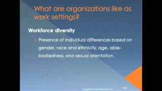 Introduction to Organizational Behavior Chapter 1 [upl. by Masuh]