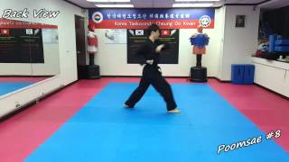 Taekwondo  Poomsae 8 Pal Jang Slowmotion amp Mirror [upl. by Niwri]