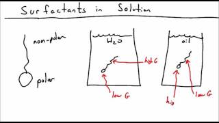 Introduction to Surfactants [upl. by Yelsek306]