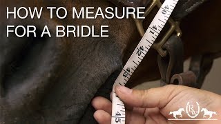 How to Measure for a Bridle [upl. by Salangia46]