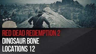 Red Dead Redemption 2  Dinosaur Bone Locations 12 [upl. by Barb27]