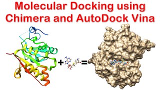 Molecular Docking using Chimera and AutoDock Vina [upl. by Kubiak]