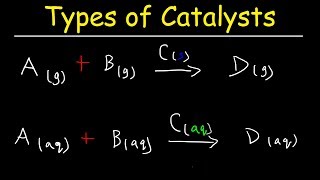 Homogeneous vs Heterogeneous Catalysts  Basic Introduction [upl. by Everara]