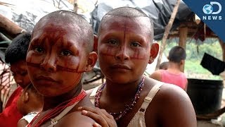 How Many Isolated Tribes Still Exist Today [upl. by Jilli]