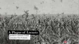 A Plague of Locusts  Nebraska Stories [upl. by Cassidy972]