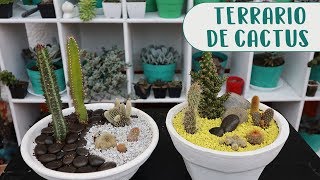 Cómo hacer un terrario con cactus│Candy Bu [upl. by Garlanda]