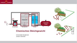 Vorlesung Allgemeine Chemie • Chemisches Gleichgewicht 08 [upl. by Longwood]