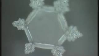 Masaru Emoto  Messages de lEau Documentaire [upl. by Schecter]