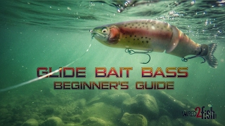 Glide Bait Fishing Bass A Beginners Guide [upl. by Ameerak630]