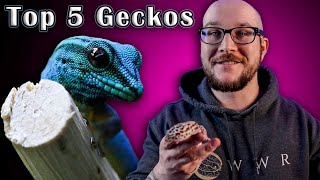 Top 5 BEST Pet Geckos [upl. by Garneau]