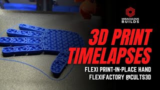 3D Printing Timelapse  FlexiHand  Ender 3 Pro Octolapse [upl. by Drawyeh]