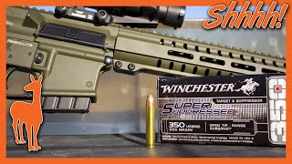 Solid Performance from Winchesters New Subsonic 350 Legend  Ballistic Gel Test [upl. by Adnahsar]