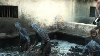 Indigo Dye Extraction [upl. by Nassi495]