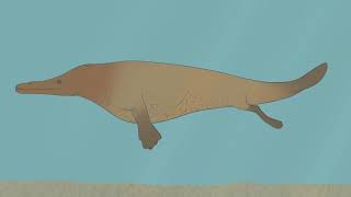 From Feet to Flippers The Evolution of Whales [upl. by Llerryt]