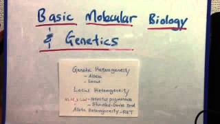 Genetic heterogeneity locus and allelic [upl. by Parshall948]