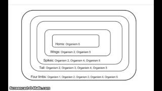 Build your own cladogram  BetterLesson [upl. by Welbie]