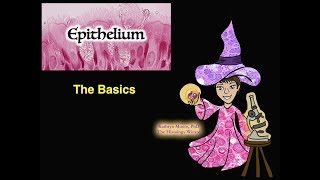 Epithelium The Basics [upl. by Depoliti430]