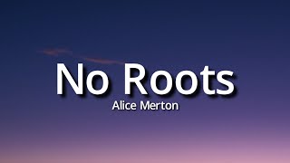 Alice Merton  No Roots Lyrics Tiktok Song  A thousand times [upl. by Hgielyak143]