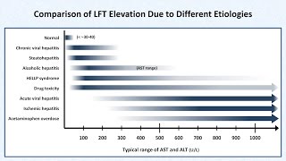 Interpretation of LFTs Liver Function Tests [upl. by Aissyla]