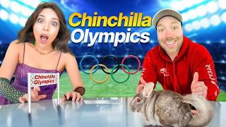 The ChinchillOlympics [upl. by Laurie]