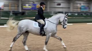 Novice 23 Dressage Test [upl. by Ong]