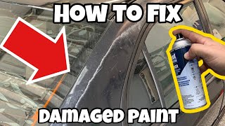 The CHEAPEST Way to Permanently Fix Peeling Paint [upl. by Towney]