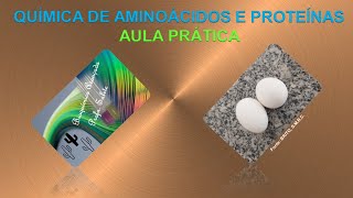 Aula prática  Proteínas e Aminoácidos [upl. by Runck95]