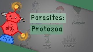 Parasites Protozoa classification structure life cycle [upl. by Atiuqad861]