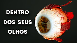 O Que Acontece Dentro Dos Seus Olhos [upl. by Hooker]