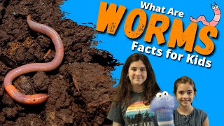 What You Need to Know About Intestinal Parasites Worms  Dr J9 Live [upl. by Corabella]