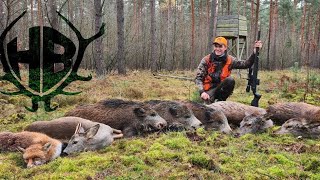 Fasanenjagd the Hunter Call of the Wild deutsch Gameplay [upl. by Cinom]