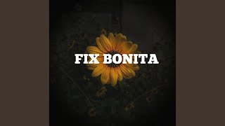 FIX BONITA [upl. by Carlo]