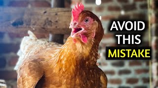 AVOID This Big MISTAKE When Building a Chicken House [upl. by Atsirt]