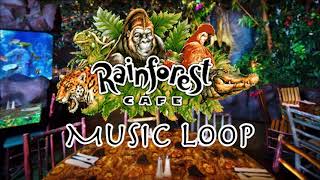 Rainforest Cafe Music amp Ambience  Disney Springs [upl. by Ylicis]