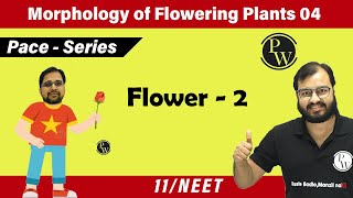 Morphology of Flowering Plants 04  Flower 02  Class 11  NEET  Pace Series [upl. by Assital]