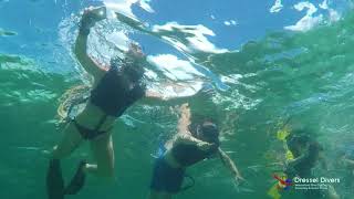 SNORKEL Excursion in Bavaro  Punta Cana Natural pools [upl. by Hole64]