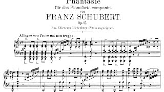 Schubert Wanderer Fantasy in C Major Op15 Lewis [upl. by Conias735]