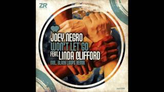 Dave Lee fka Joey Negro  Wont Let Go feat Linda Clifford [upl. by Messere]