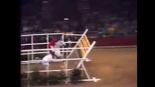 World Record Horse High Jump 2 32 meters [upl. by Skylar967]