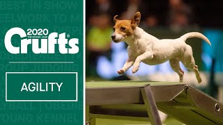 Agility  Crufts Team Small Final  Part One  Crufts 2020 [upl. by Chernow510]